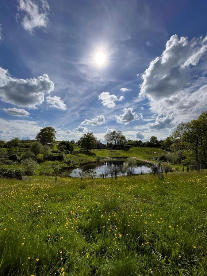 La Ferme Du Pont De Maumy, Cabane Au Bord De L'Etang Et Bain Nordique Busserolles Экстерьер фото